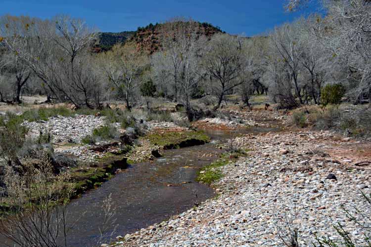 creek with running water